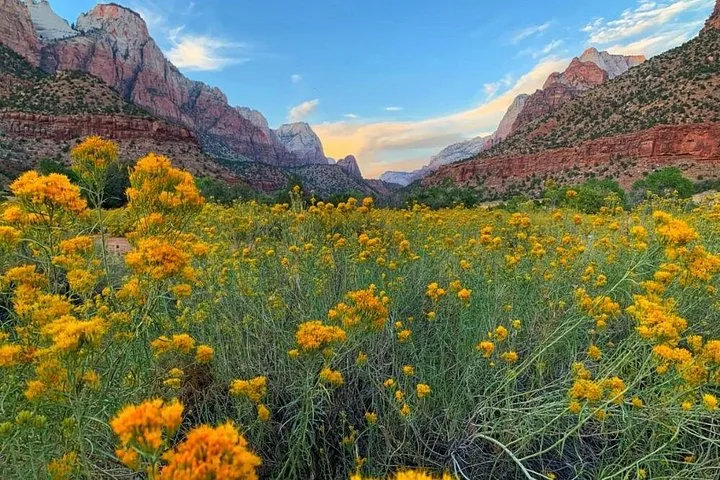 Two days, Zion and a hotel night on a Grand Canyon tour from Las Vegas, Nevada